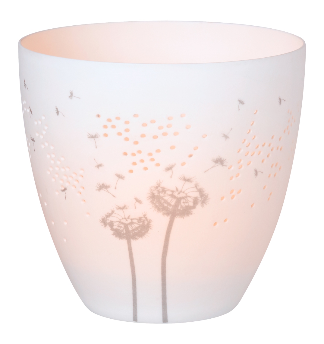 räder Zuhause Poesielicht Pusteblume