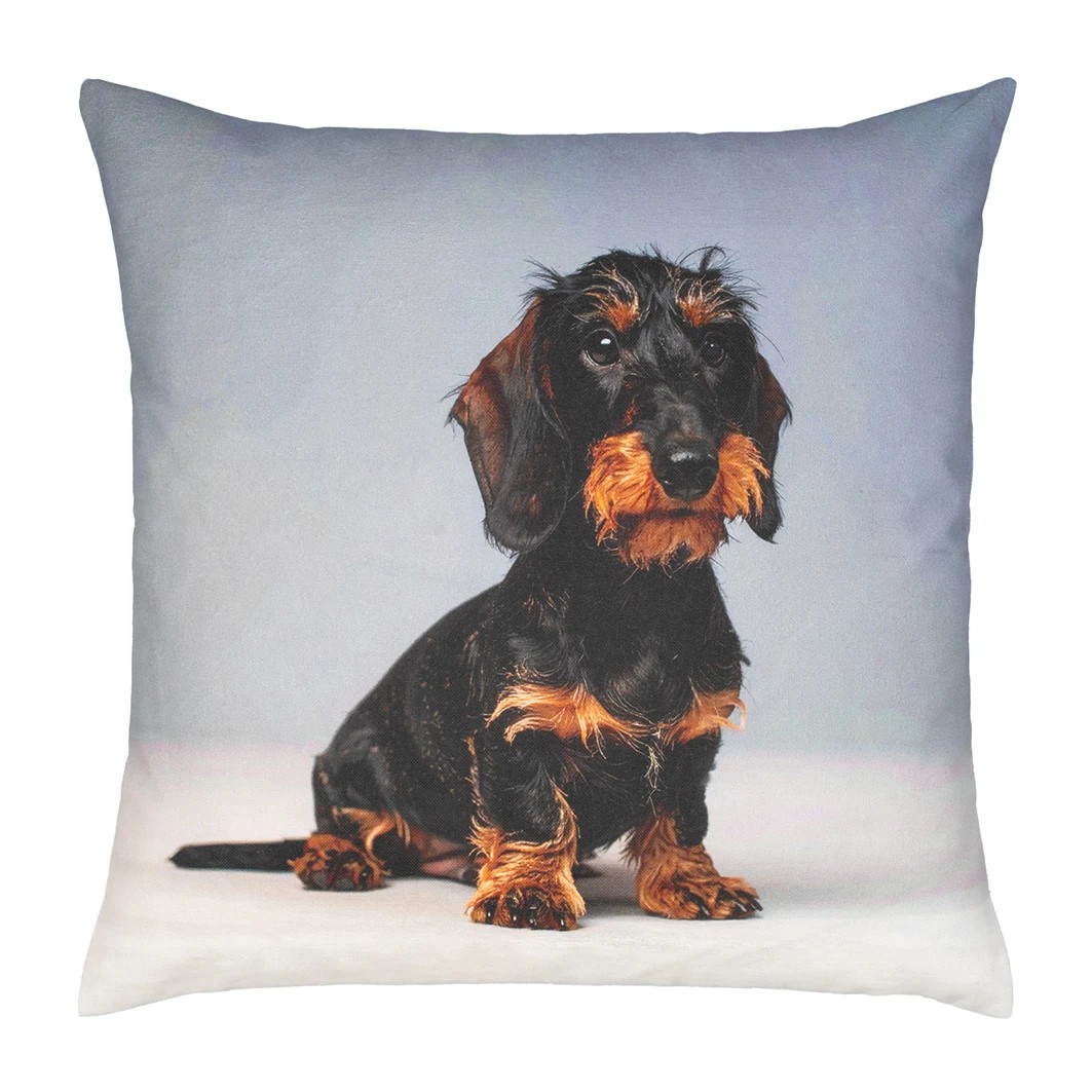 pad design Kissenhülle  Proflax Bodo Grey 45 x 45