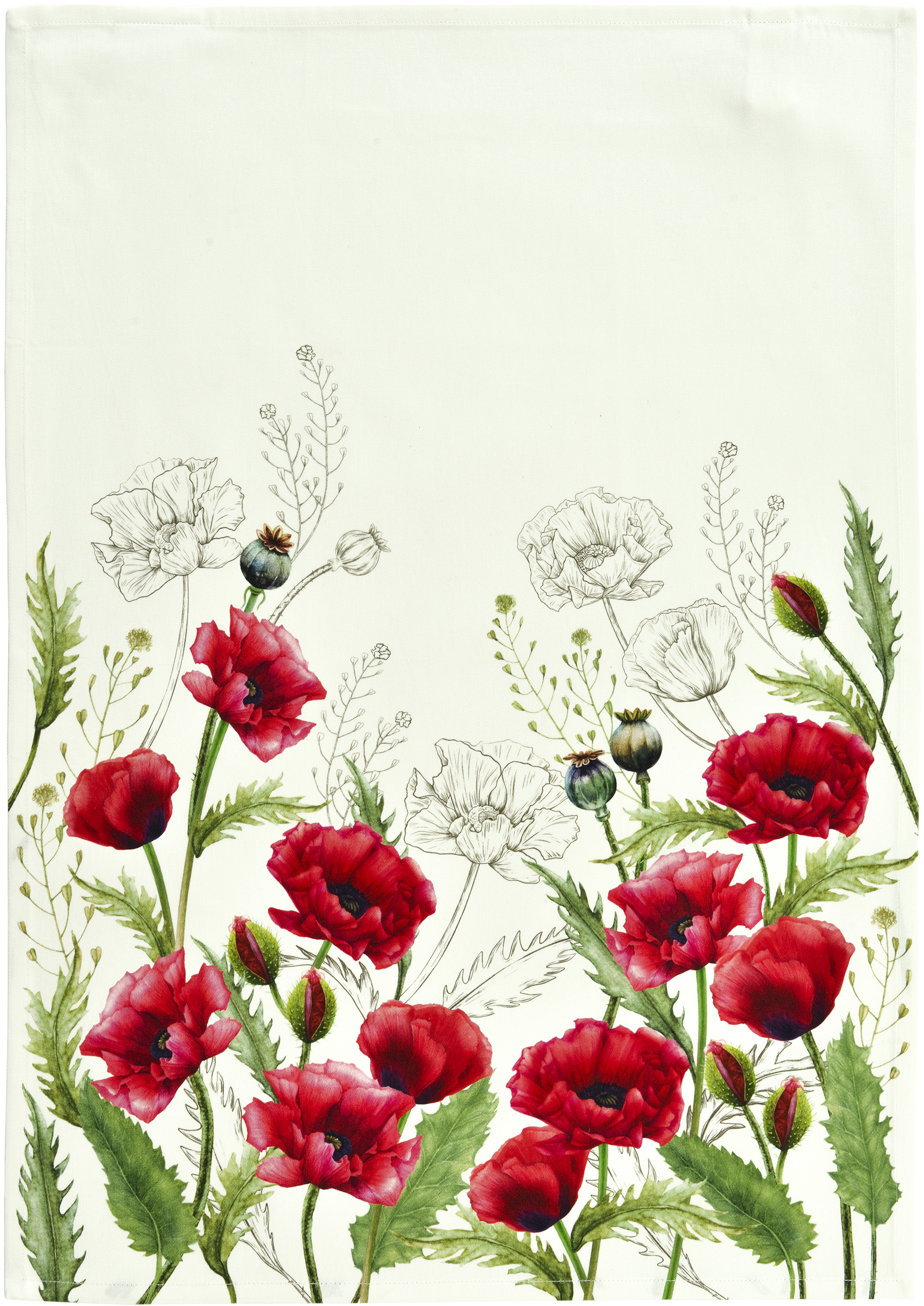 sander Geschirrtuch Poppy Kitchen 50 x 70