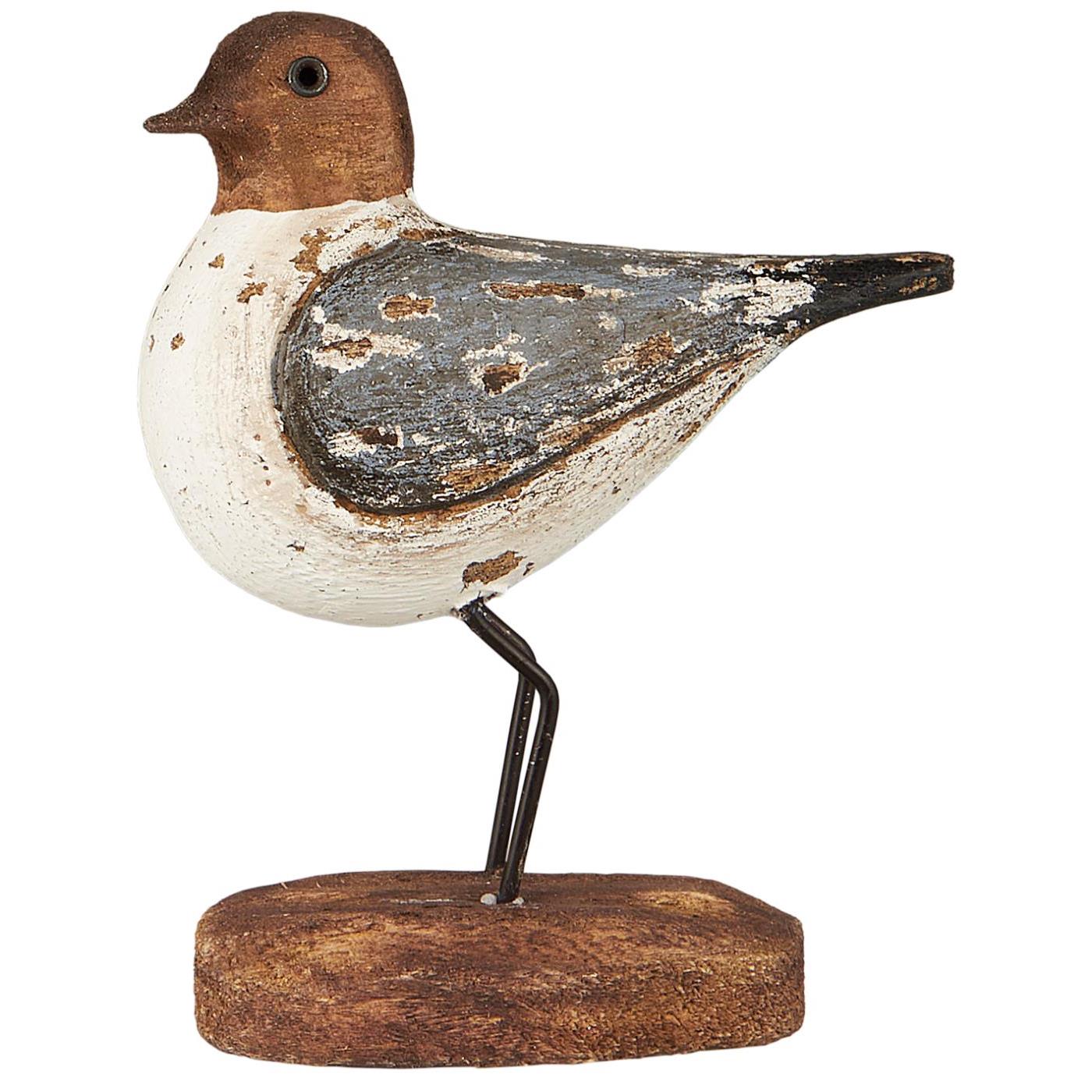 Ib Laursen Vogel Nautico Blaue Flügel