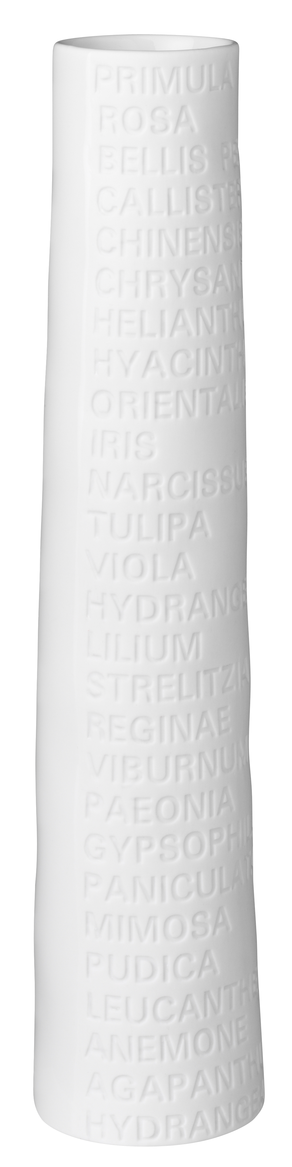 räder Raumpoesie Vase Gross H23cm