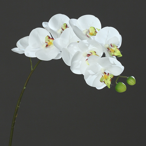 Orchidee-Phalaenopsis "Real-Touch" 80cm white-green