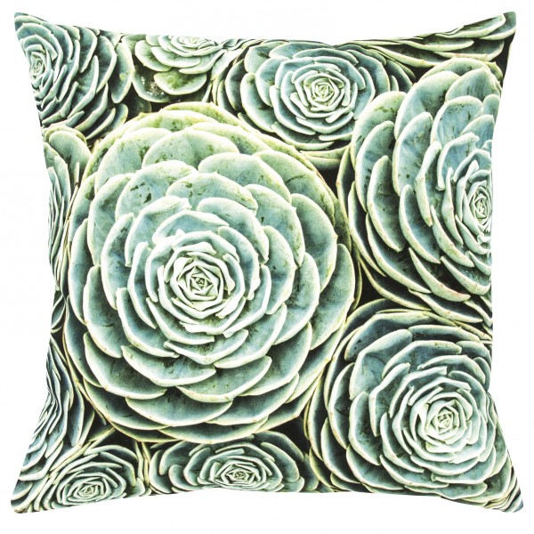 pad design Kissenhülle SUCCULENT aqua